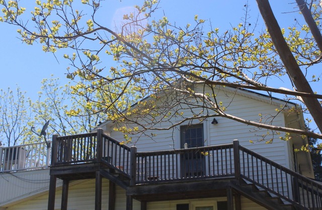 Charming farmhouse with WiFi and AC in lovely Sutherlin