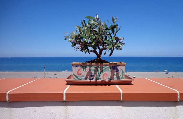 Appartement de vacances Terme Vigliatore pour 1 - 5 personnes avec 2 chambres à coucher - Appartemen