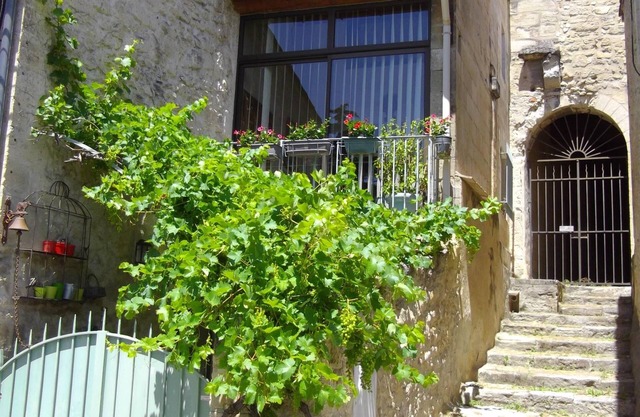 Maison de charme pittoresque dans centre historique de Villeneuve lès Avignon.