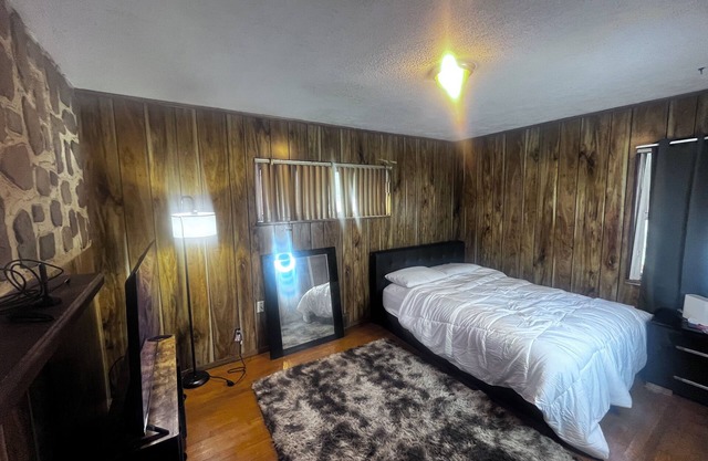 Charming house in amazing Detroit with WiFi, AC