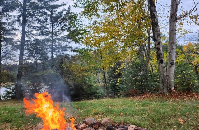 Charming Island Getaway. Private Cottage, Dock Fire Pit Pet Friendly. Elopement