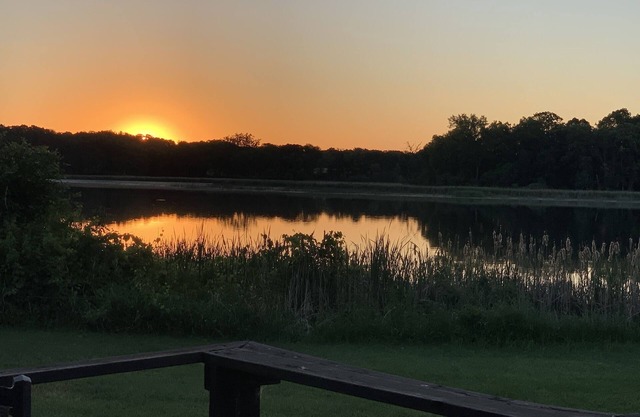 Charmante cabane en pin noueux avec une vue imprenable sur le lac! De nombreuses mises à jour!