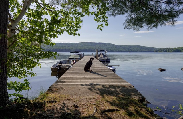 Lac Sunapee, bateau à moteur disponible, animaux acceptés!