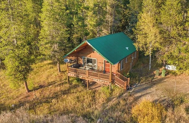 Cozy cabin with WiFi in charming Island Park