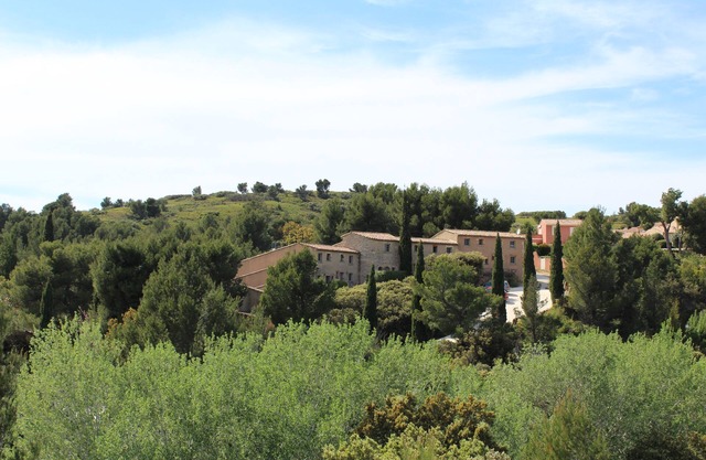 Mazet de charme de l'aqueduc-belle terrasse et piscine commune- Vallée des Baux