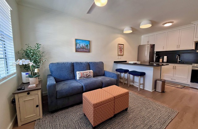 Charming, Newly Renovated Samford Ave. Condo in Downtown Auburn!
