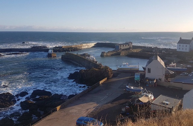 Charmant cottage rénové avec vue sur la mer et joli jardin