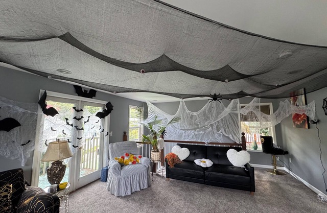 Charming room in a house with WiFi in beautiful West Seattle