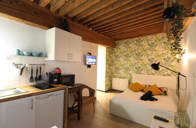Charming Studio Centre Ville De Lyon