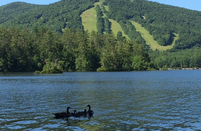 Charmant chalet au bord de l'eau avec vue sur la montagne et accès à la plage privée!