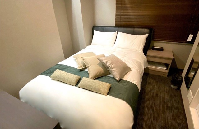 Checkin from 2100 to 2300 Great double room p / Chiyoda-ku Tokyo