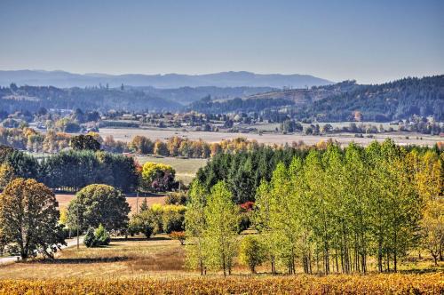 Chic Willamette Valley Home with Deck and Vineyard!