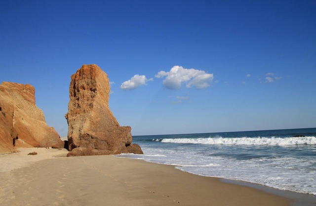 Chilmark Vista et Lucy Vincent Beach