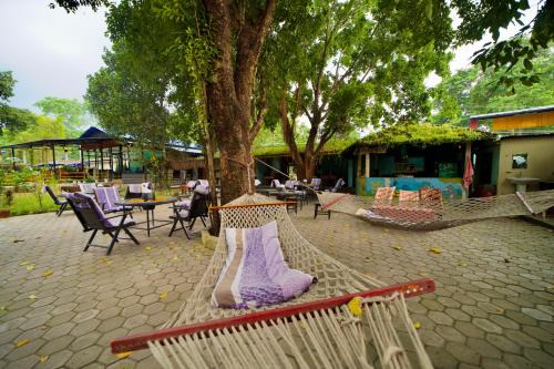 Chitwan Gaida Lodge - Animal Lovers & Birdwatchers Paradise