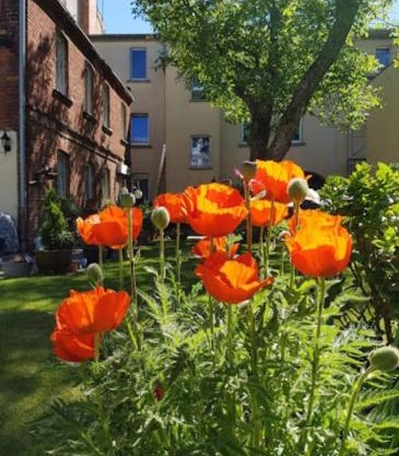City Appartement mit Garten, zentral und trotzdem ruhig