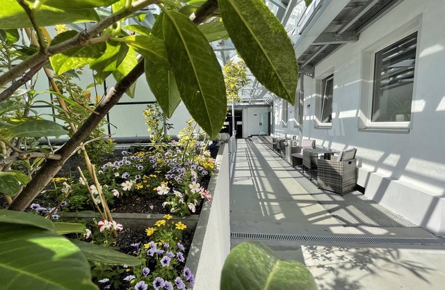 City Lounge Hotel