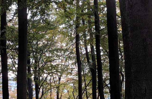 Vivez mieux dans la maison au bord du lac