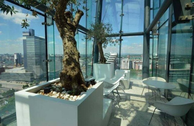 City Suite - Rooftop Spa - Balcony - Skyline View