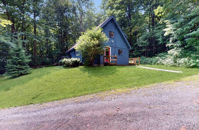 Cabane classique et adaptée aux chiens dans les bois avec terrasse privée