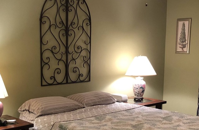 Clean and Cozy Condo - Centerally Located
