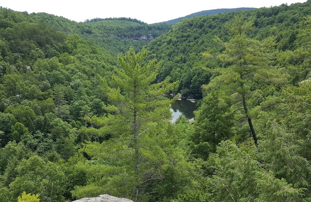 Retraite Clear View: cabanes dans les bois près d'Obed, Catoosa, Crossville, etc.