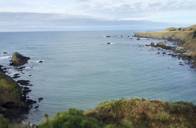 Oceanfront 'Desire' Accueil Albion Mendocino