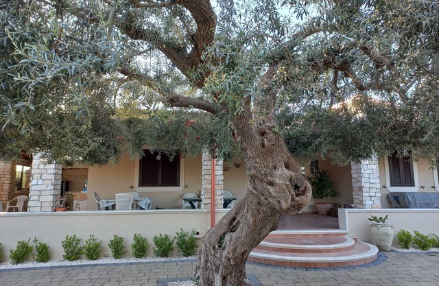 Climiti Holiday House