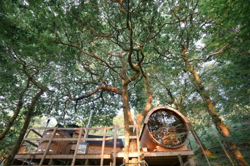 Clogau Tree House Hot tub &sauna