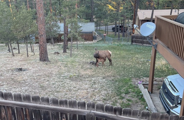 CLOSE TO EVERYTHING RUIDOSO HAS TO OFFER