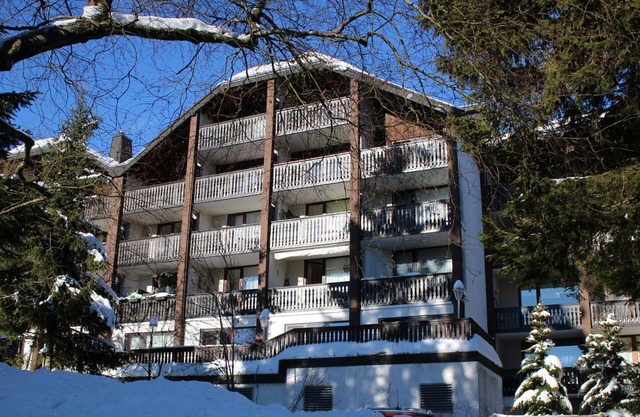 Appartement confortable sur le domaine skiable