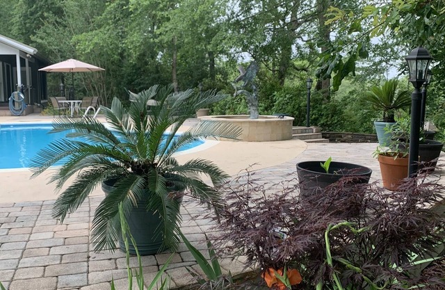 Luxe sur le Waccamaw, minutes de la plage