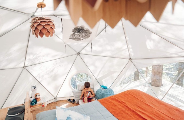 .Cloud Dome Treehouse | 1 Bed, 1 Bath