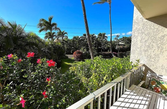 Coco Hut (PKC 107) ~ 3 BR ~ Ground Floor Unit ~ Pool