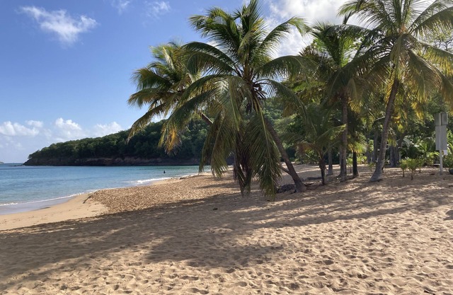 Coco-Mango Apt. D, vue sur mer à 250 m de la plage de la Perle