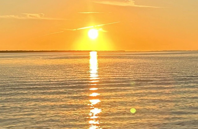 Coconut In Paradise Key largo
