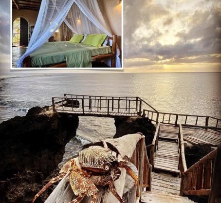 Colobus Suite of 40m2 in Villa 560 m2, View of the Indian Ocean