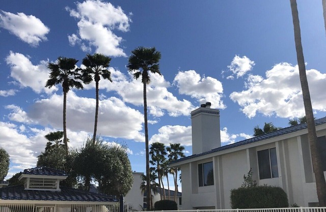 Colorado River Retreat