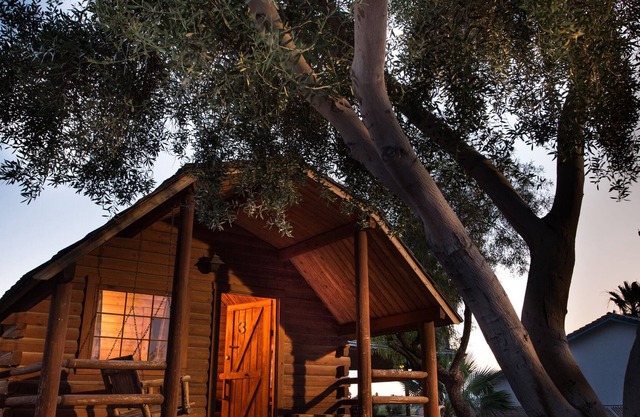Colorado River Rustic Cabin Rental Sleeps 6