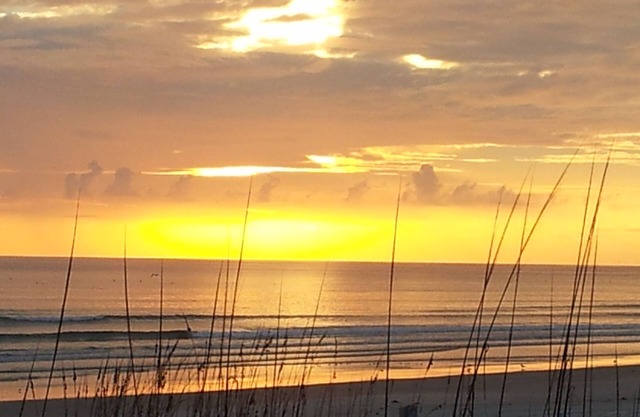 *** NOUVEAU SMYRNA BEACH *** OCEAN VIEW *** 70 PIEDS ** BEACH WALKWAY *** LUXURY HOME