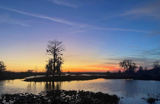 Come enjoy this cozy Jeep-themed get away in Cross Creek, FL.