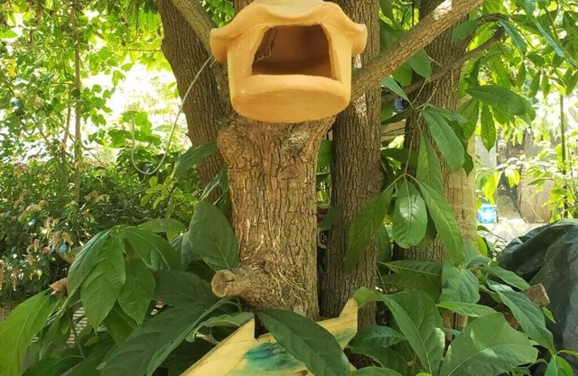 Venez rencontrer les beautés naturelles de notre ville!