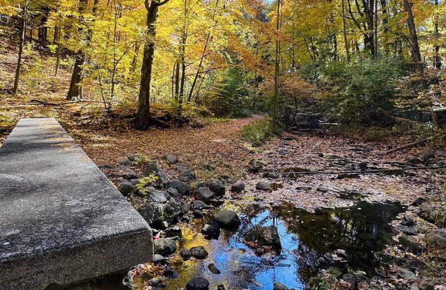 Come see Fall Colors in the Country and take up some hiking at local state parks