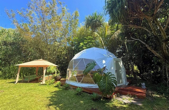Come sleep in the jungle Glamping Experience