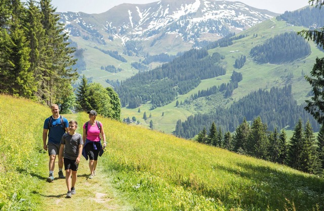Confort bungalow dans le village de vacances Landal Resort Maria Alm