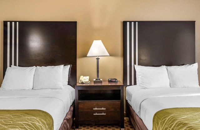 Comfort Inn East