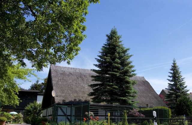 Maison de vacances près de la lagune de Stettin