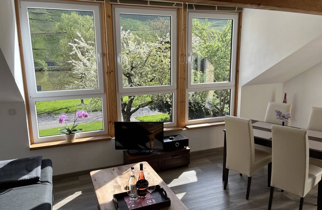 Appartement confortable et d'un balcon avec vue exceptionnelle sur le fleuve