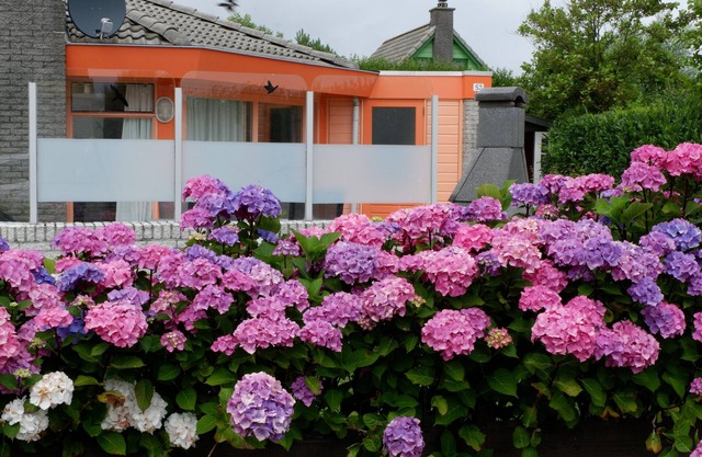 Maison de plain-pied sur la côte de la Mer du Nord à seulement 300 m de la plage
