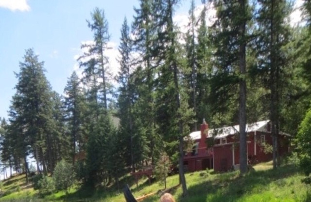 Secluded Rustic Cabin Wildlife