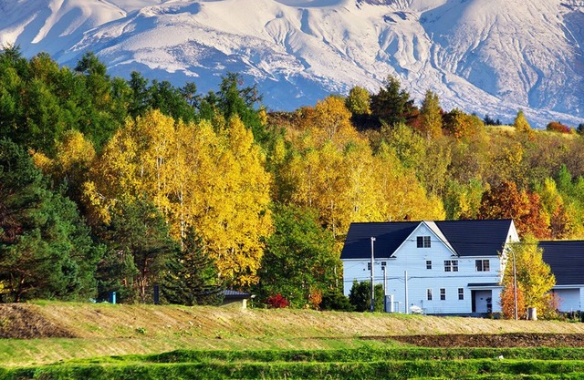 Une petite auberge tranquille avec une sensation de villa de style occidental! !